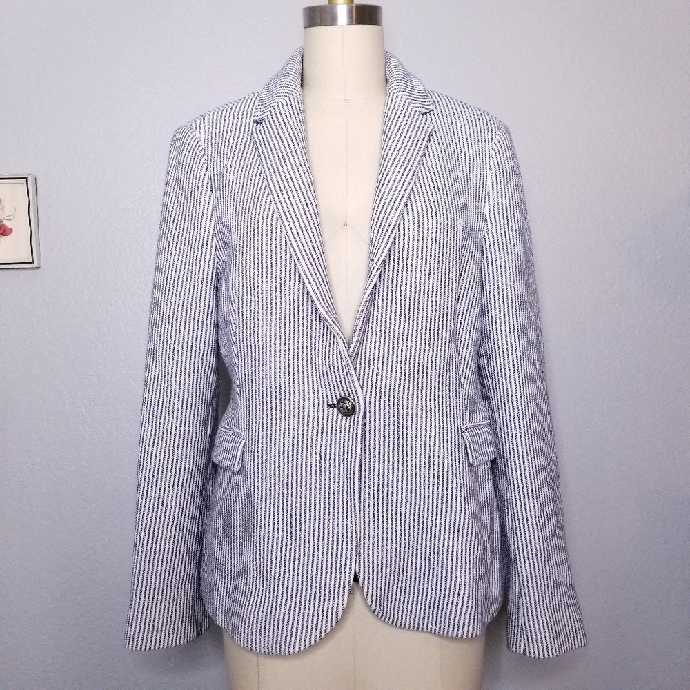 Zara Striped Semi Stretch Knit Blazer Sz XL (M)